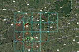 El Gobierno presentó una plataforma para mapear y mejorar la planificación de la industria forestal