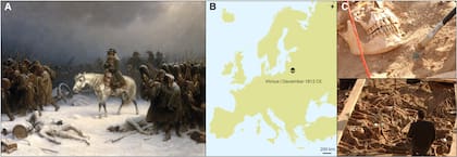 Imágenes de la fosa común analizada en el estudio y el lugar donde se ubica en Vilna, Lituania