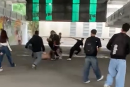 Imágenes de la pelea en el Normal 2 de La Plata, que terminó con una auxiliar docente lastinada