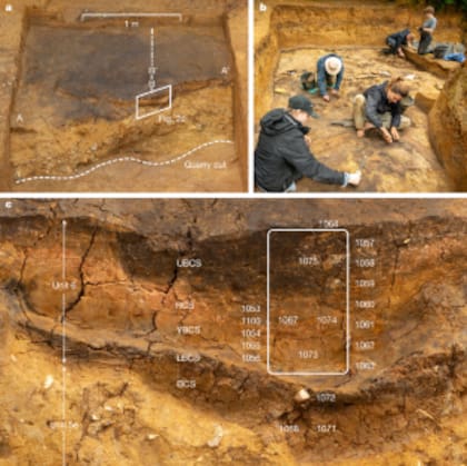 Imágenes de las excavaciones en Barnham