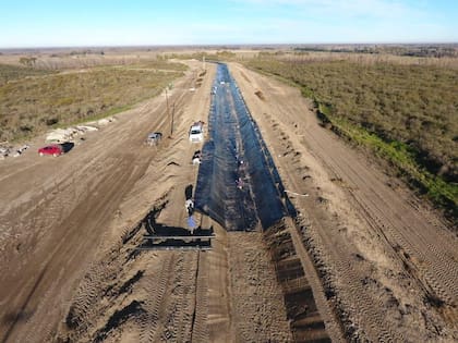 Imágenes de las tareas que realizan en el campo