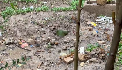 Imágenes de minas en territorio iraní