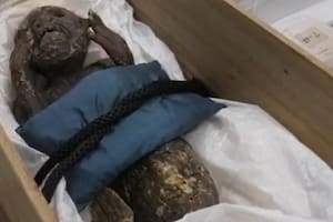 El misterioso caso de la momia con cola de pez y cara humana que investigan en Japón