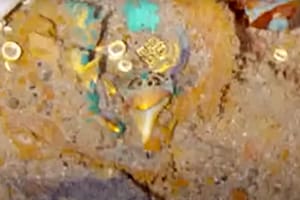 Descubren un "impresionante" collar de más de 100 años en las profundidades del naufragio