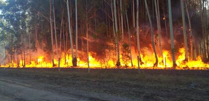 Imágenes del incendio tomado por Fernando Dalla Tea en el norte de Concordia