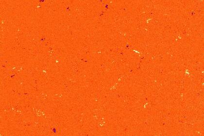 Un magnetograma del Sol tomado con el Telescopio de alta resolución de imágenes polarimétricas y heliosísmicas (PHI) en la nave espacial Solar Orbiter de la NASA