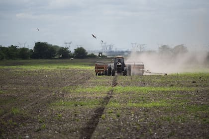 Más de 200.000 empresas sufrieron la sequía