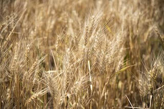 Manejo: construir ambientes para cuidar el suelo