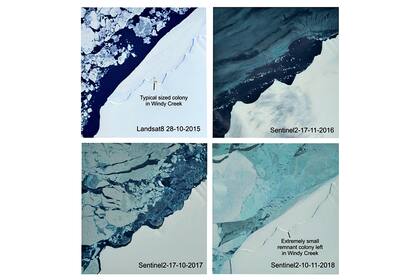 Imágenes satelitales del derretimiento del hielo entre las primaveras de 2015 y 2018