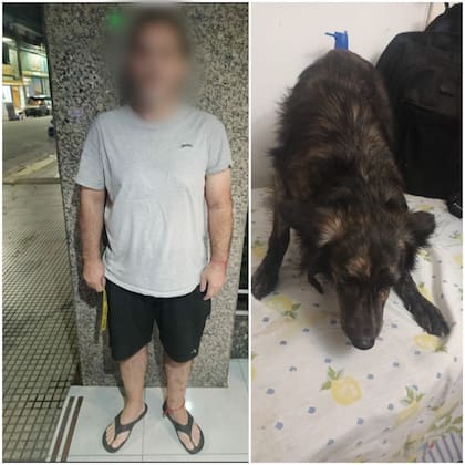 Imágenes sensibles: en un acto de brutalidad en su máxima expresión, revoleó a su perro contra el piso.