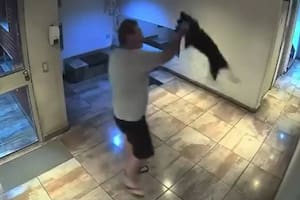 Salió con su perro al hall del edificioy lo revoleó contra el piso: quedó grabado