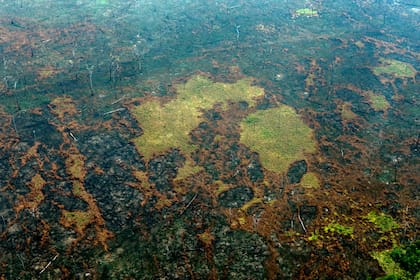 Vista aérea de las zonas quemadas de la selva amazónica, cerca de Boca do Acre, estado de Amazonas, Brasil