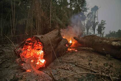 Un estudio del IPAM reveló que 10 municipios de la región más deforestada concentran la mayor cantidad de incendios