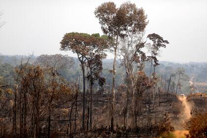 El fuego se inició hace dos semanas y amenaza con arrasar con la selva amazónica