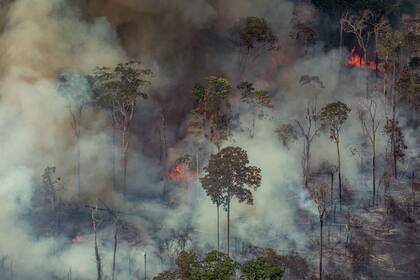 Impactantes imágenes de la devastación por los incendios en el Amazonas