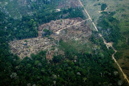La deforestación del Amazonas altera el paisaje y el régimen de lluvias en la región con consecuencias incalculables