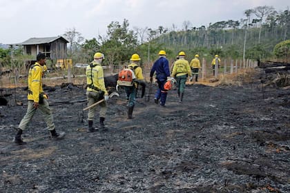 Varios bomberos caminan por lo que quedó de la jungla tras el paso de los incendios