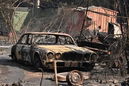 Los habitantes de la región de Sidney se preparan para afrontar una situación "catastrófica" debido al recrudecimiento de los incendios