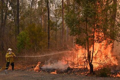 Decenas de incendios asolan el este de Australia, mientras los bomberos luchan con grandes dificultades para extinguir muchos focos al mismo tiempo