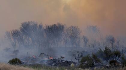 Los campos destruidos por el fuego, aún tienen unos peque?os focos que todavía resultan peligrosos si los vientos no cesan