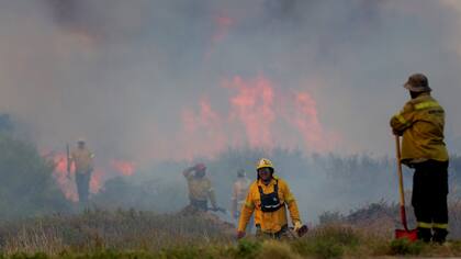 En Mendoza el fuego se acrecentó por los vientos cambiantes, las altas temperaturas y la falta de humedad en el suelo