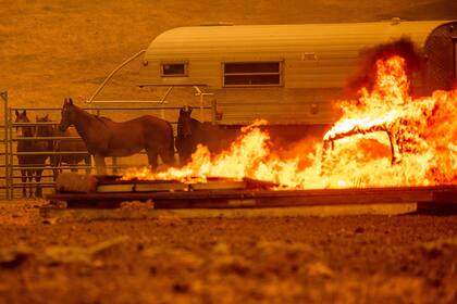 California declara el estado de emergencia por los incendios mientras continúan activos 30 focos