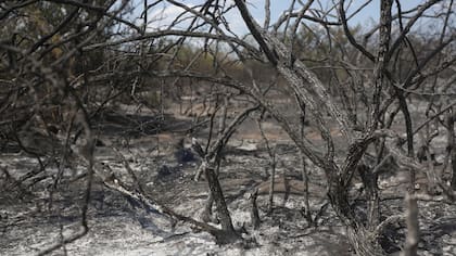 Algunos sectores quedaron reducidos a cenizas