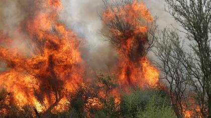 Llegan a casi 300.000 las hectáreas afectadas; un tercio del Parque Nacional Lihué Calel está quemado