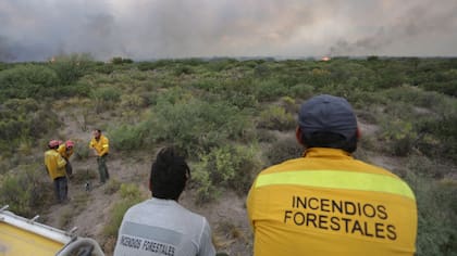Los brigadistas se toman un descanso y observan el fuego a la distancia