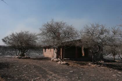 Hoy los bomberos continuan trabajando contra el fuego en la zona de Capilla del Monte y en un extenso sector colindante a las ciudades de Cosquín, Bialet Massé, Santa María de Punilla, Comuna de San Roque y La Calera.