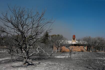 Unas 250 dotaciones de bomberos trabajaron para contener el fuego