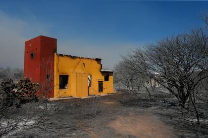 Al viento y al calor se le suma que todo el terreno es combustible, hay pastizales secos y palmeras que se encienden con facilidad