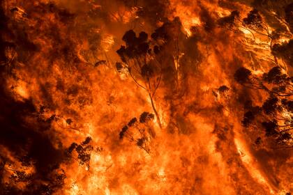 The Burning de Nicholas Moir.