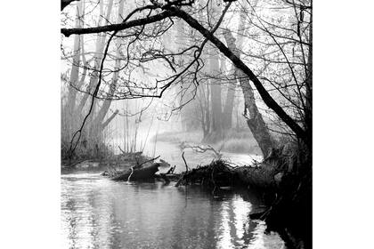 The Mist de Andrius Grigalaitis.