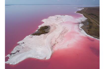 En el planeta rosa de Yevhen Samuchenko.