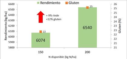 Impacto de aumentar la fertilización nitrogenada