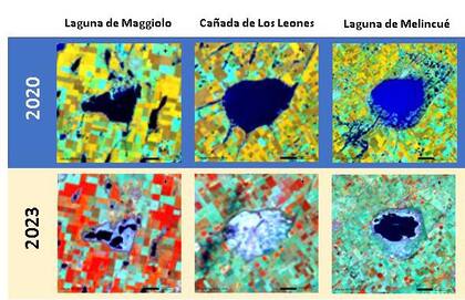 Impacto de la sequía en las lagunas del sur de Santa Fe