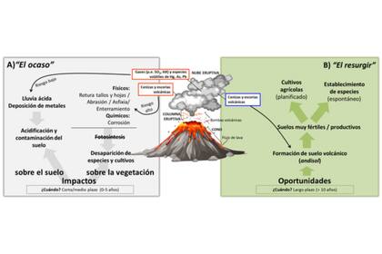 Impactos de la erupción del volcán sobre la vegetación en la zona de influencia y (B) oportunidades que surgirán a largo plazo en los terrenos afectados