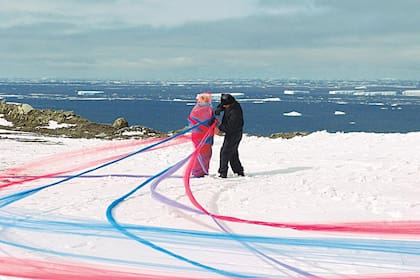 Imponencia. El contraste de colores con el hielo, en las fotografías que componen sus proyectos Antártida