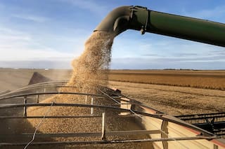 Importaciones de soja de la UE en 2025/26 caen 13% al 8 de febrero