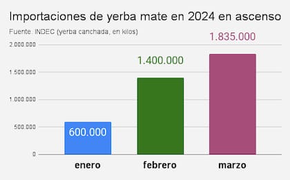 Importaciones de yerba mate canchada en el primer trimestre del año (fuente INDEC).