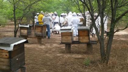 Importante asistencia al encuentro de apicultores