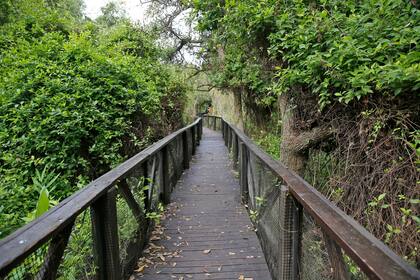 Impulsan recuperar toda la ribera de Vicente López para uso público