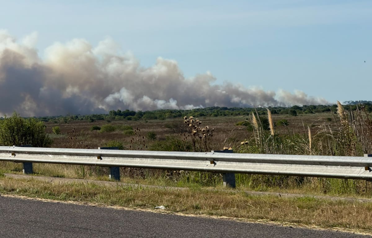 Varias dotaciones de bomberos combaten un incendio en reserva de Punta Lara y el humo se ve desde La Plata
