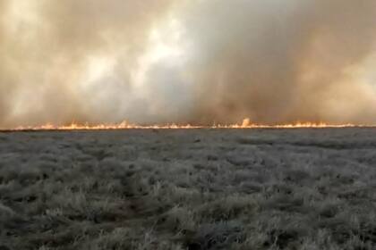 El incendio de 700 hectáreas en Cañada Ombú, Santa Fe