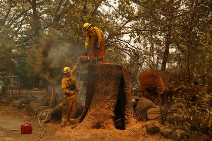 Incendio en California: el fuego avanza sin dar tregua, es el incendio forestal más mortífero en la historia del estado