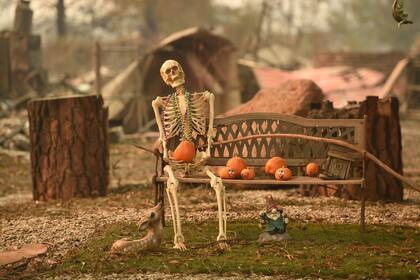 Incendio en California: el fuego avanza sin dar tregua, es el incendio forestal más mortífero en la historia del estado