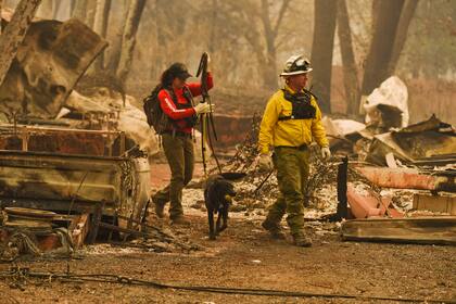 Incendio en California: el fuego avanza sin dar tregua, es el incendio forestal más mortífero en la historia del estado