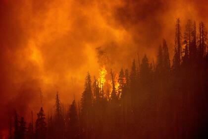 Vista del fuego a lo largo de una cresta en el Bosque Nacional Sequoia