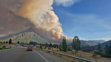 Incendio en El Hoyo. Los expertos afirman que los incendios no sólo se incrementaron en los últimos años por la sequía y el cambio climático, sino también por la plantación de especies exóticas.